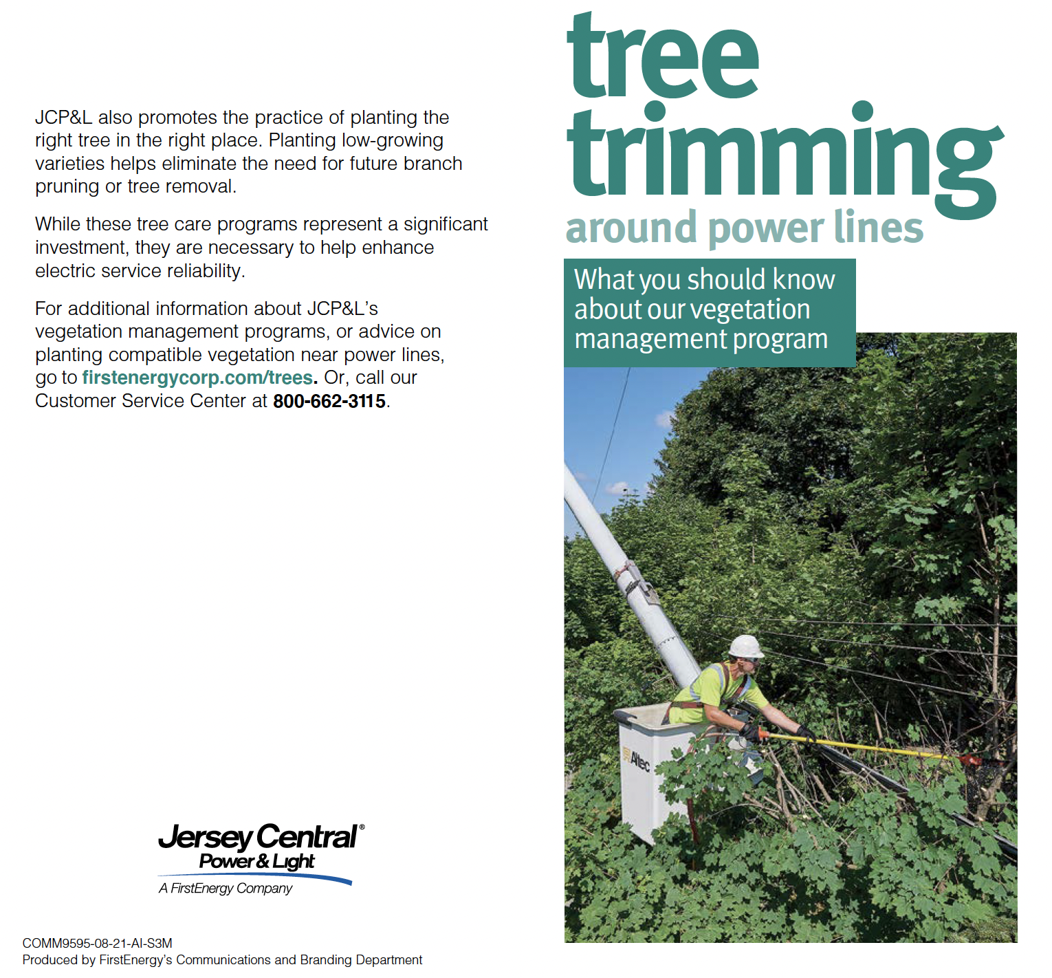 tree trimming guide